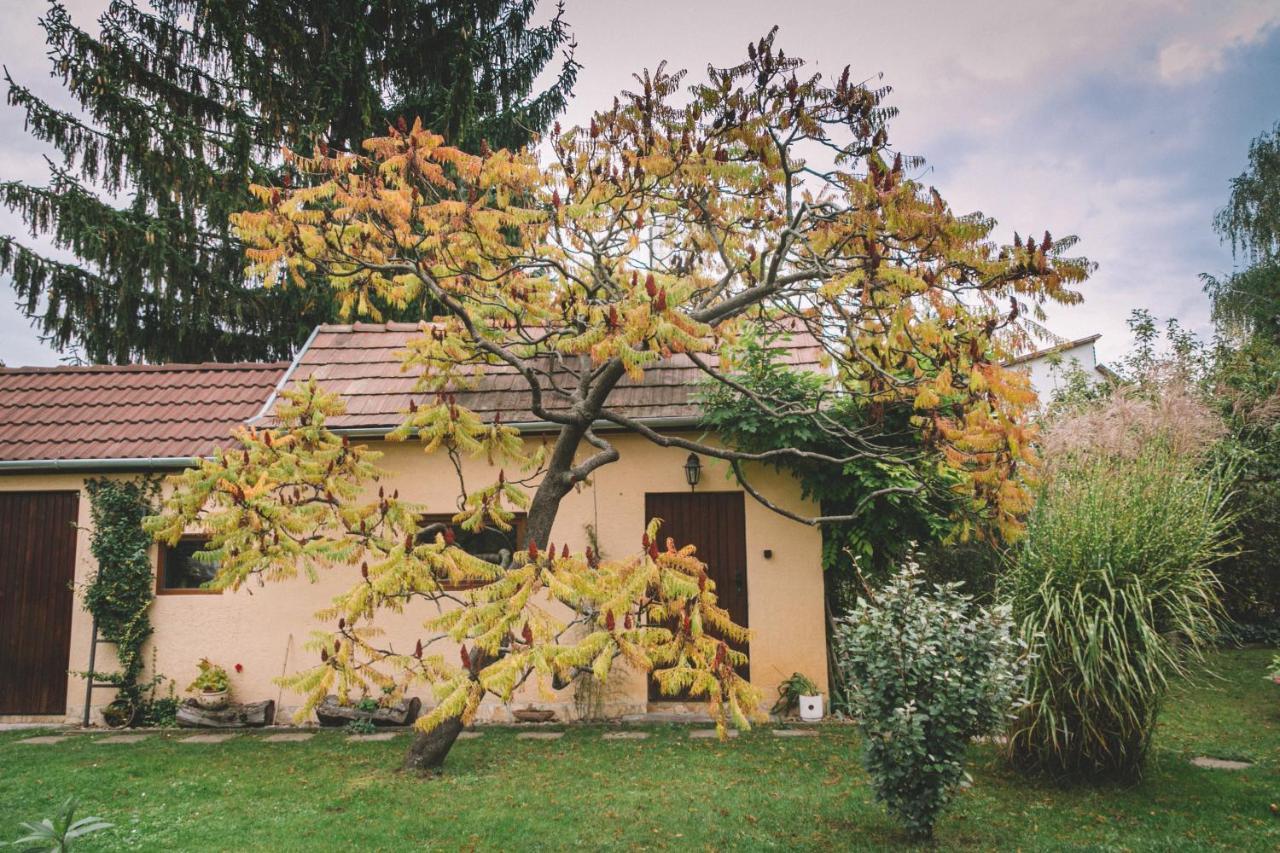 Pannonia Apartment God Екстер'єр фото